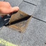 Can a Roof Be Repaired Instead of Replaced? Expert Insights