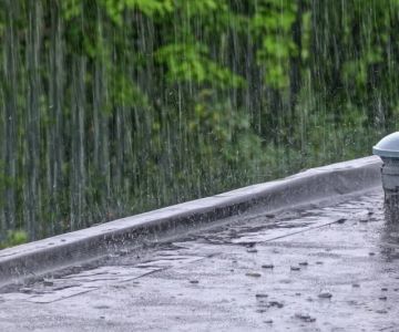 Understanding Roof Leaks During Heavy Rain and How to Fix Them