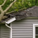 How to Protect Your Roof from Tree Damage